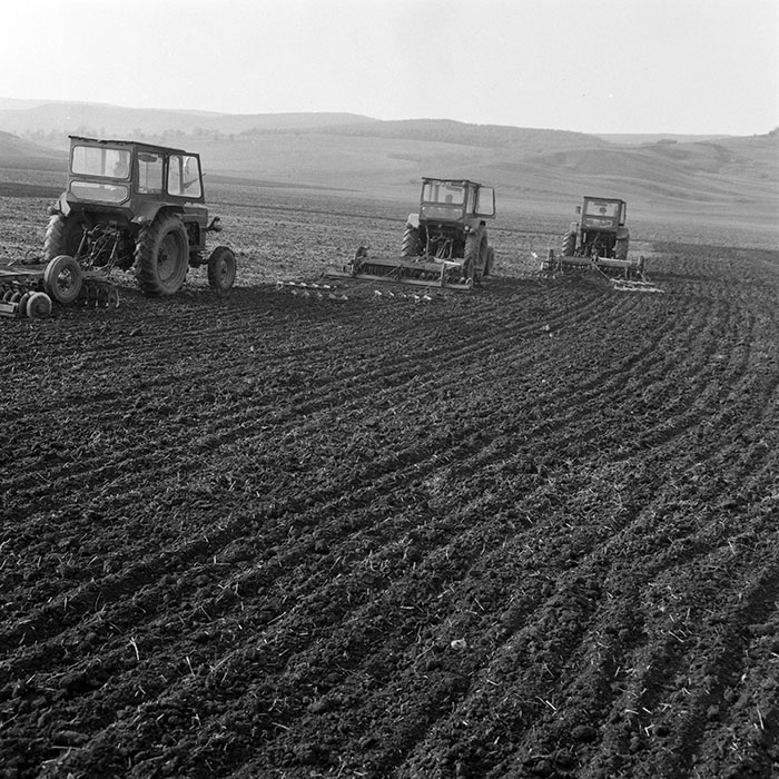 minerva_1984_c1_c4r2_012