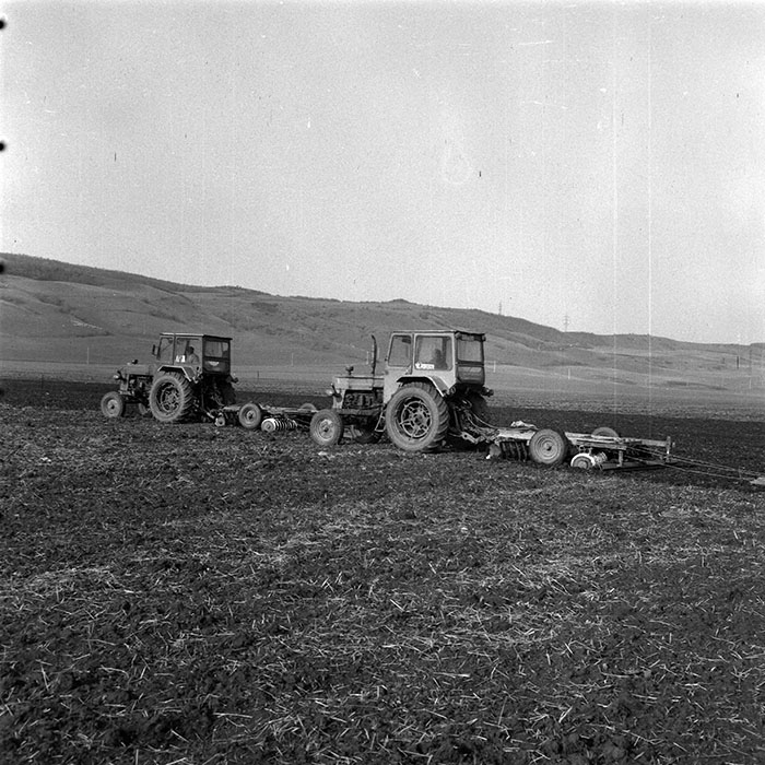 minerva_1984_c1_c4r2_013