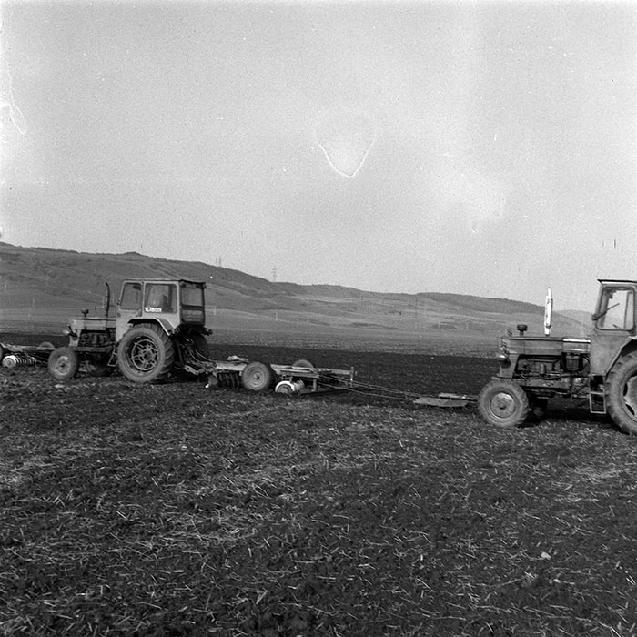 minerva_1984_c1_c4r2_014