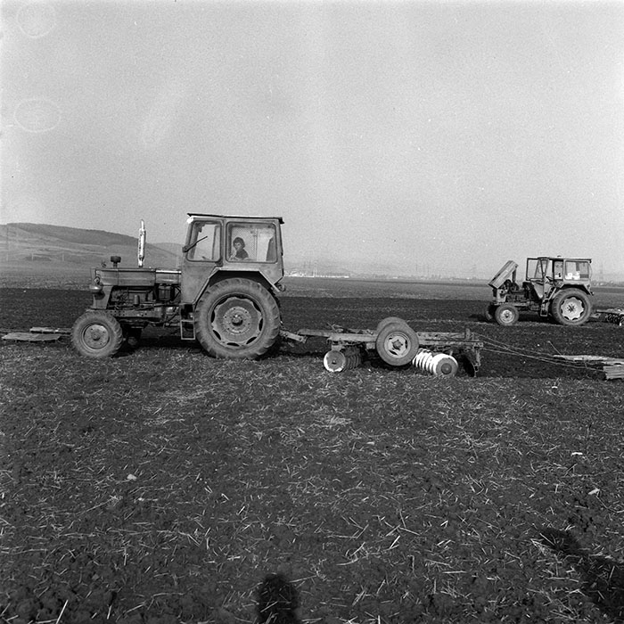 minerva_1984_c1_c4r2_015