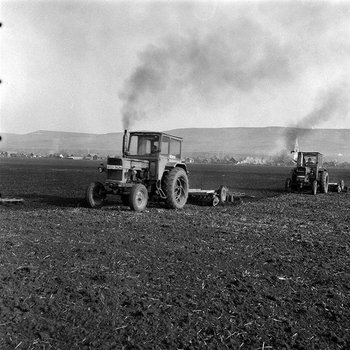 minerva_1984_c1_c4r2_017