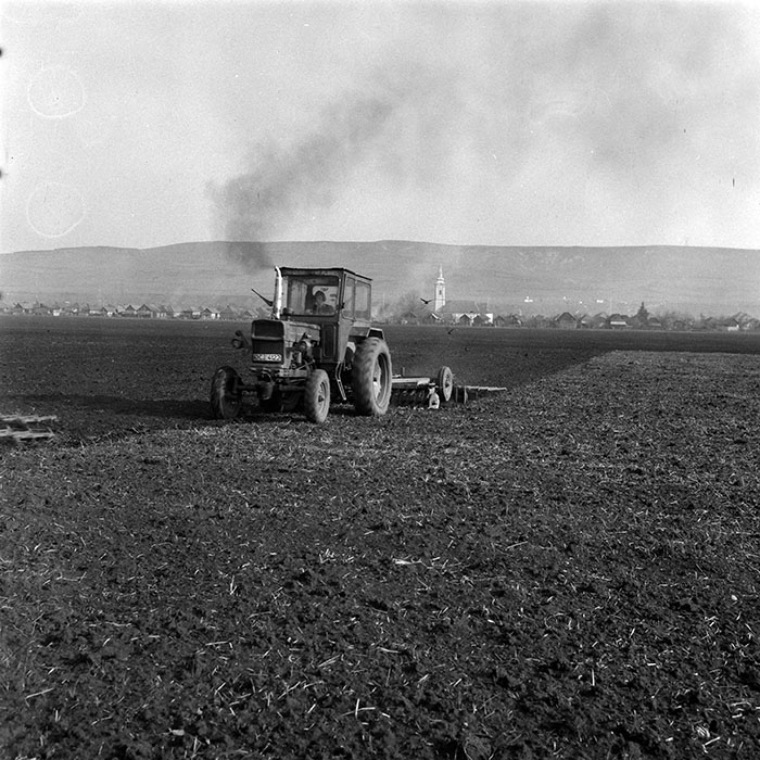 minerva_1984_c1_c4r2_018