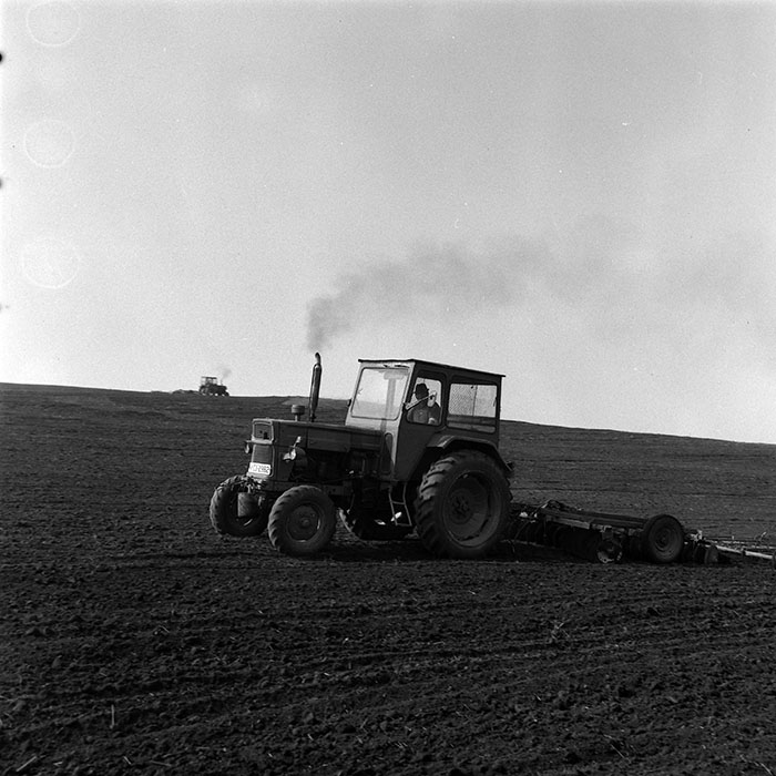 minerva_1984_c1_c4r2_019