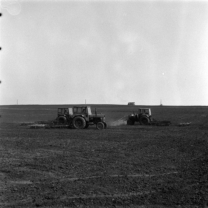 minerva_1984_c1_c4r2_021