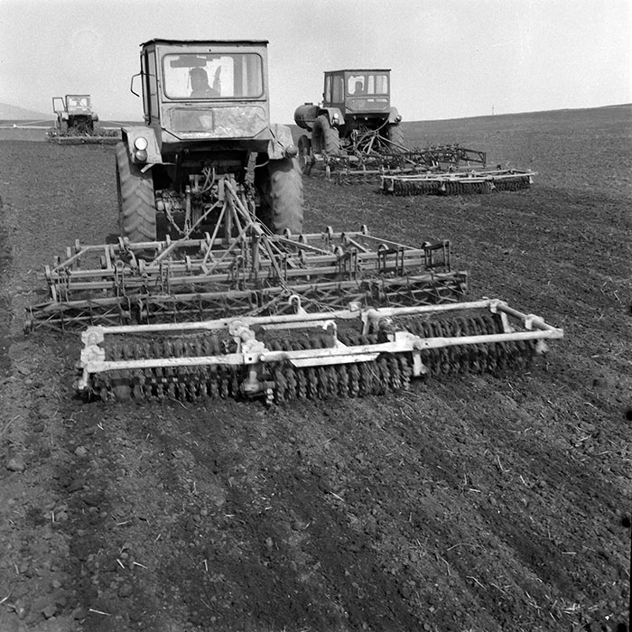 minerva_1984_c1_c4r2_024