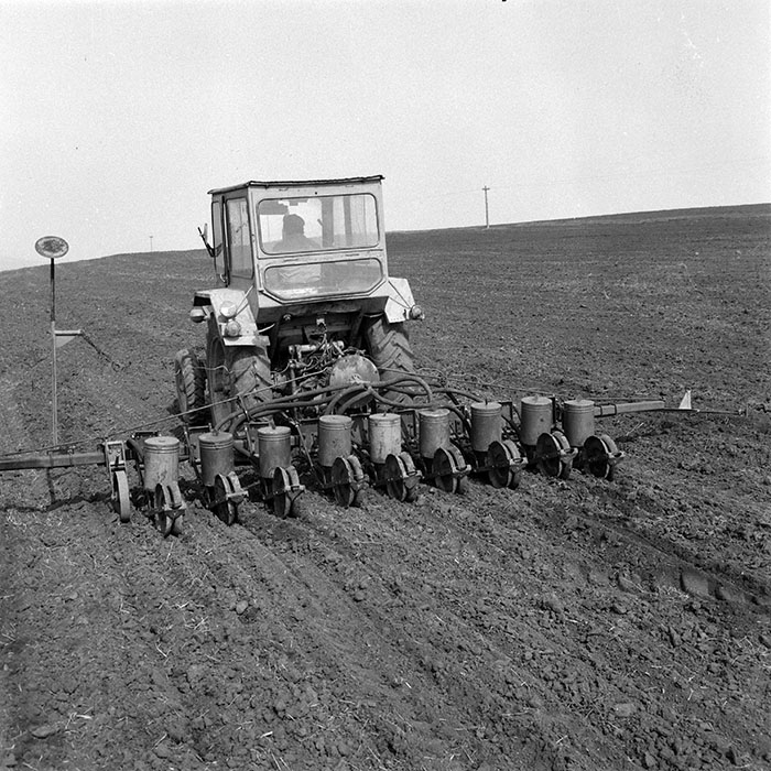 minerva_1984_c1_c4r2_026