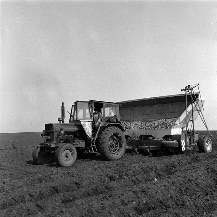 minerva_1984_c1_c4r2_030