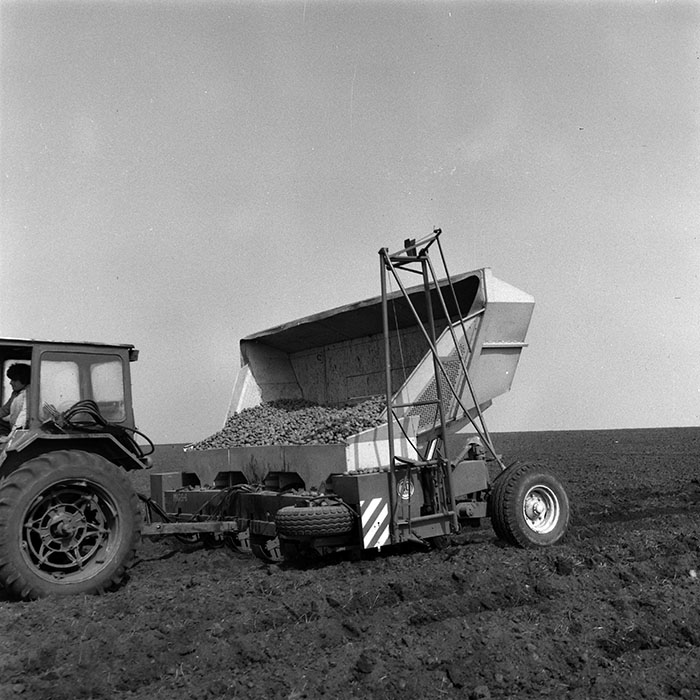 minerva_1984_c1_c4r2_031