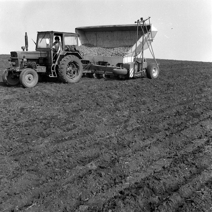 minerva_1984_c1_c4r2_032