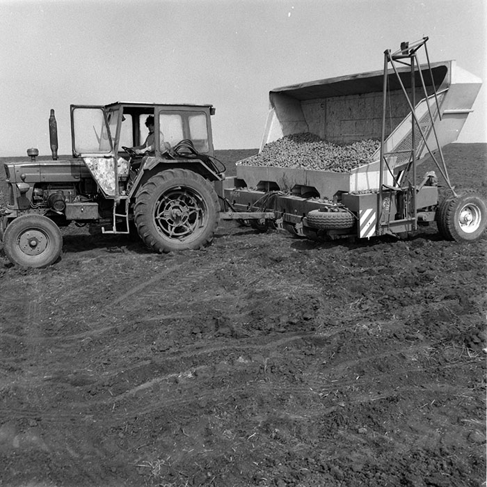 minerva_1984_c1_c4r2_033