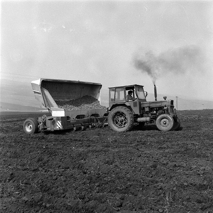 minerva_1984_c1_c4r2_035