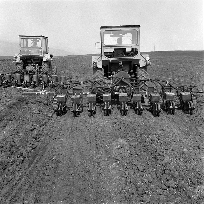 minerva_1984_c1_c4r2_036