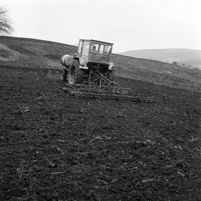 minerva_1984_c1_c5r1_001