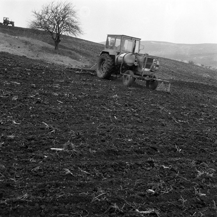 minerva_1984_c1_c5r1_006