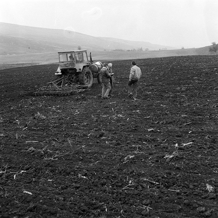 minerva_1984_c1_c5r1_007