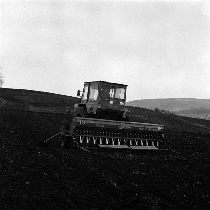 minerva_1984_c1_c5r1_009