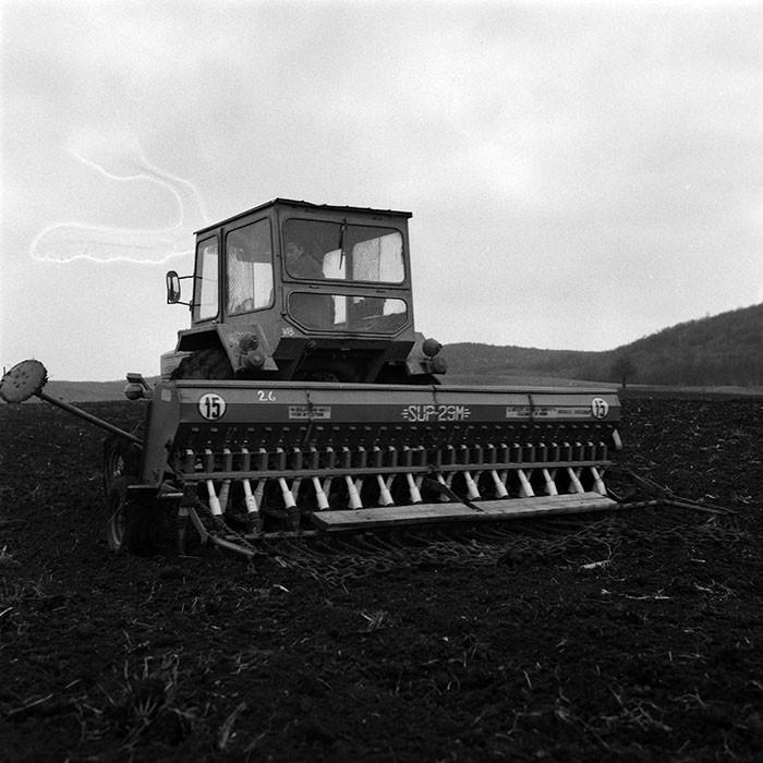 minerva_1984_c1_c5r1_011