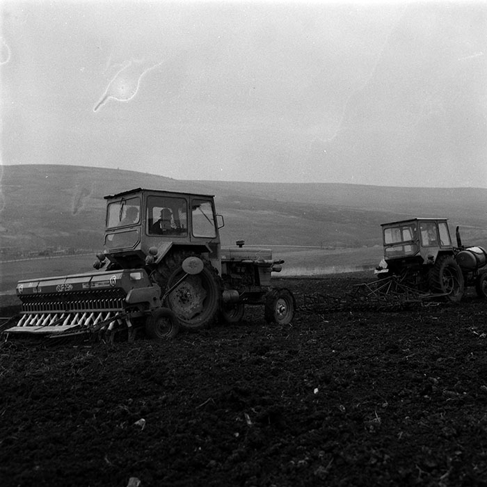 minerva_1984_c1_c5r1_012