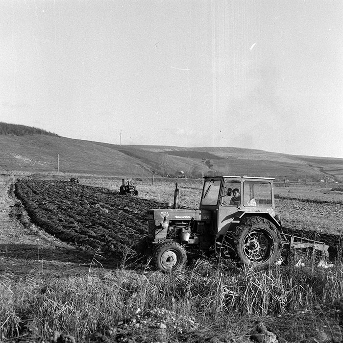 minerva_1984_c2_c10r4_007