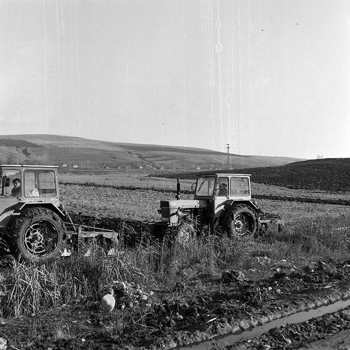 minerva_1984_c2_c10r4_008