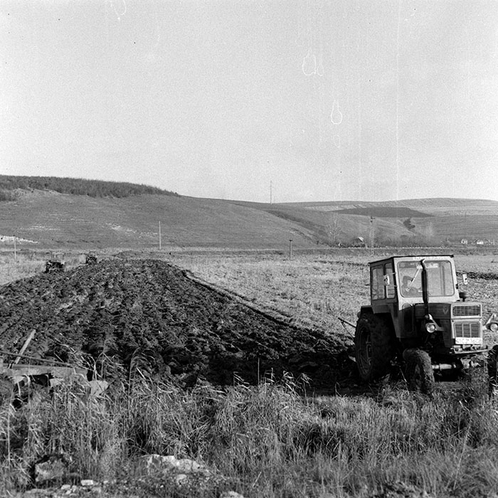 minerva_1984_c2_c10r4_011