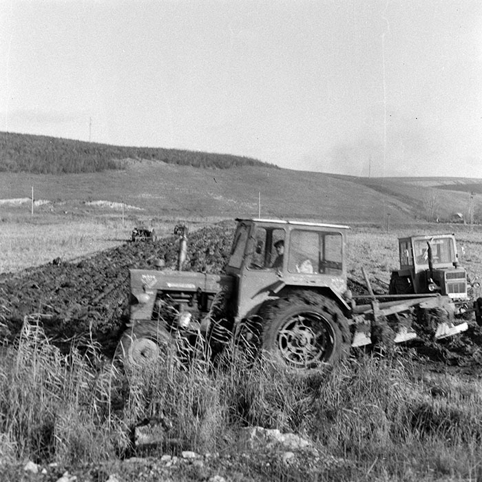 minerva_1984_c2_c10r4_012