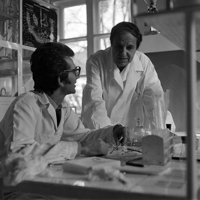 minerva_1984_c2_c10r4_023