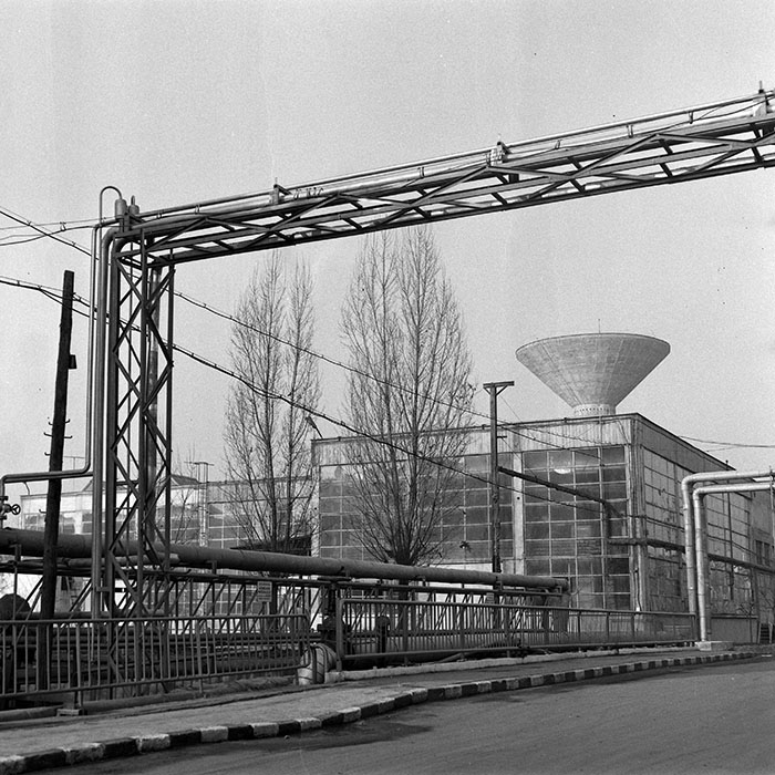 minerva_1984_c2_c10r5_002