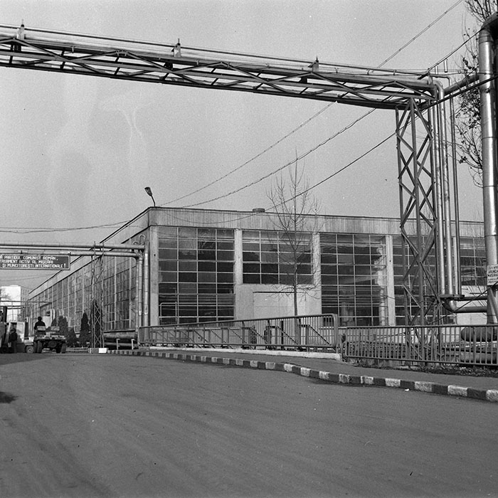 minerva_1984_c2_c10r5_019