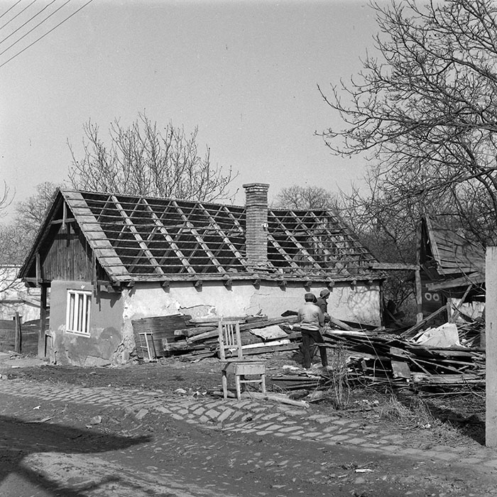 minerva_1984_c2_c10r5_048