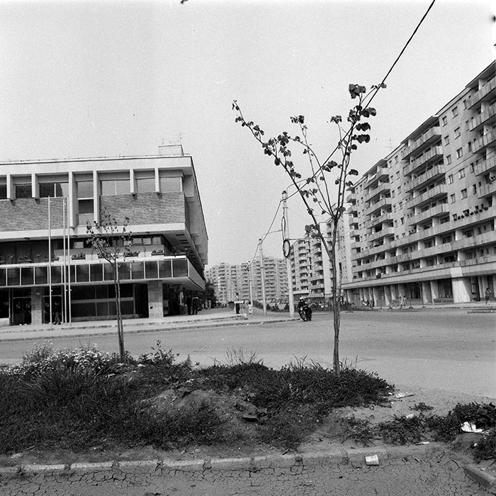 minerva_1984_c2_c1r1_003