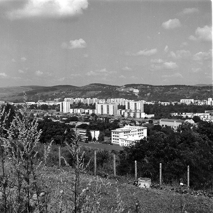 minerva_1984_c2_c1r1_020