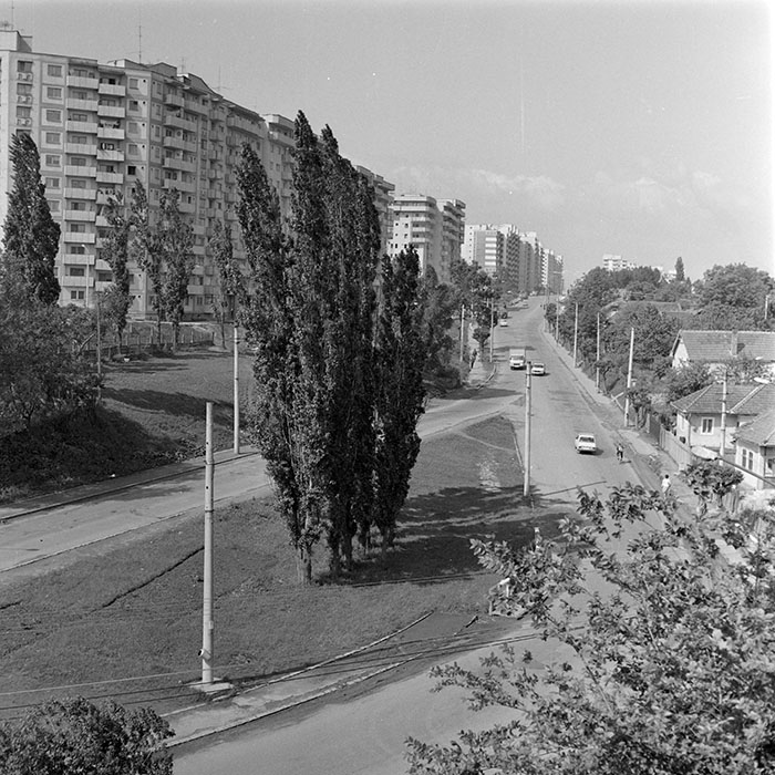 minerva_1984_c2_c1r3_007