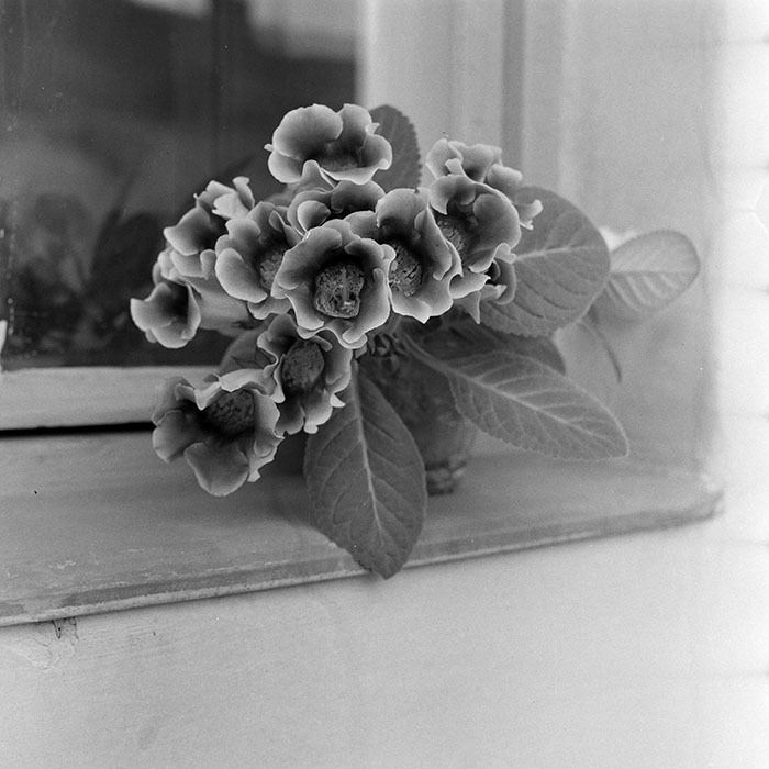 minerva_1984_c2_c1r4_004