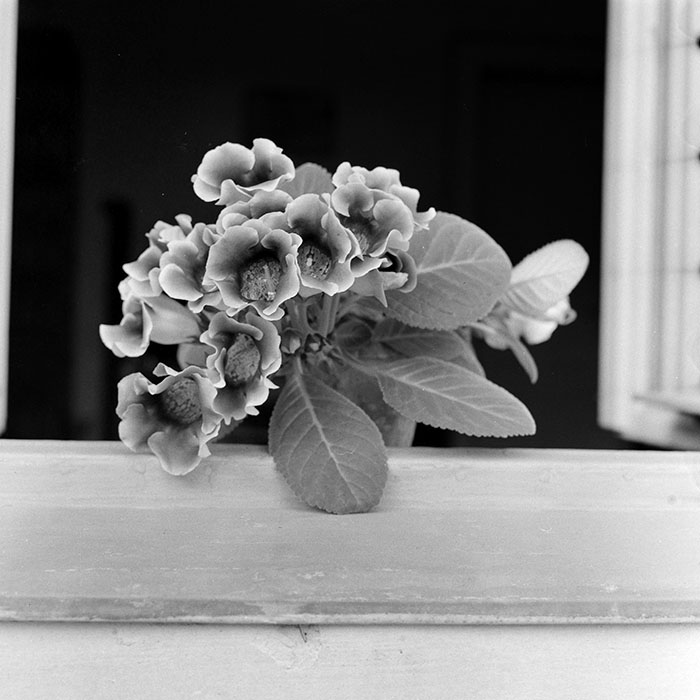 minerva_1984_c2_c1r4_006