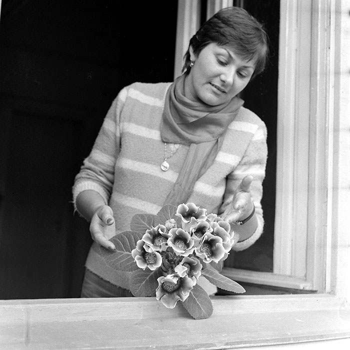 minerva_1984_c2_c1r4_008