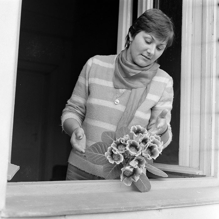 minerva_1984_c2_c1r4_009