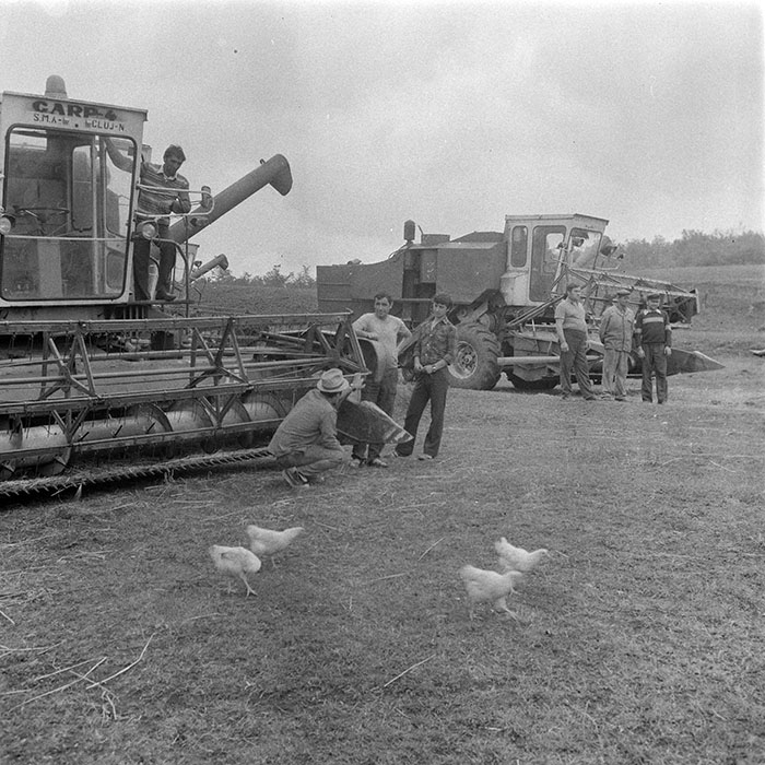 minerva_1984_c2_c2r2_005