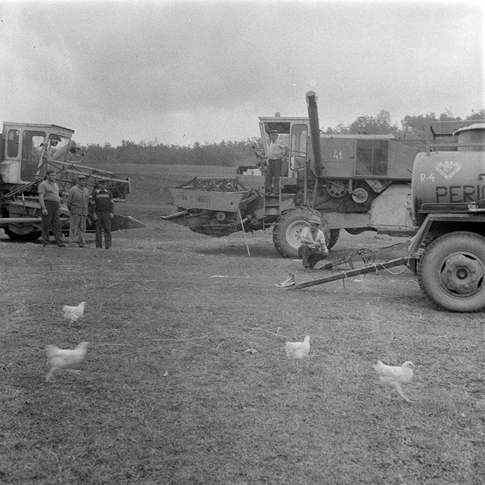 minerva_1984_c2_c2r2_006