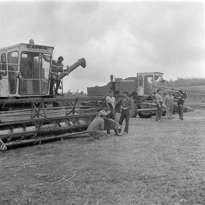 minerva_1984_c2_c2r2_007