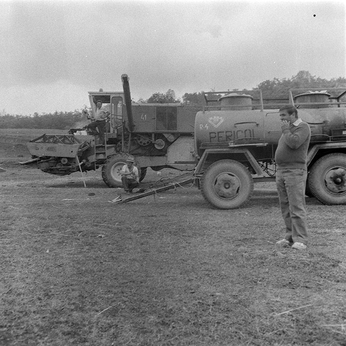 minerva_1984_c2_c2r2_008