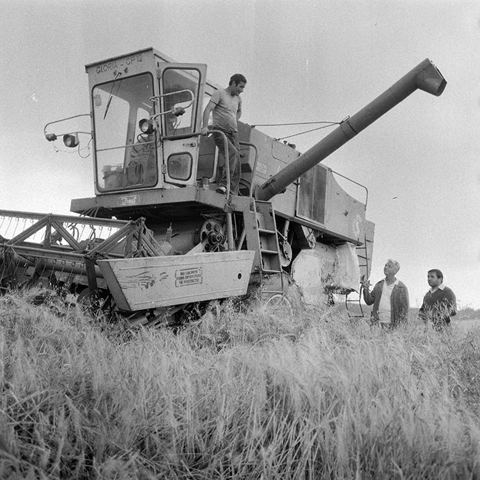 minerva_1984_c2_c2r2_016