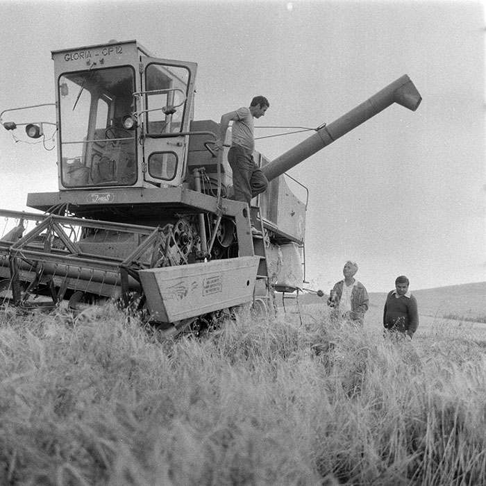 minerva_1984_c2_c2r2_017