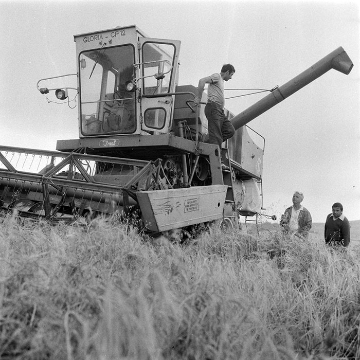 minerva_1984_c2_c2r2_018