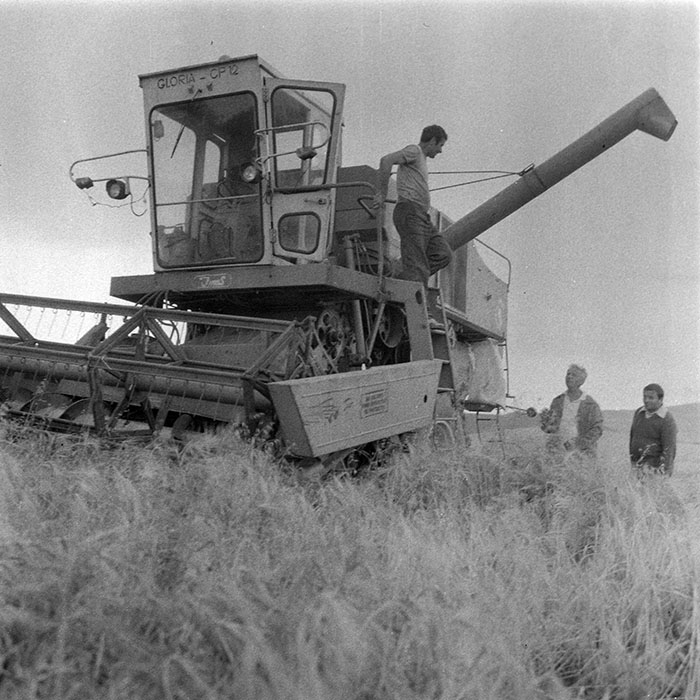 minerva_1984_c2_c2r2_019