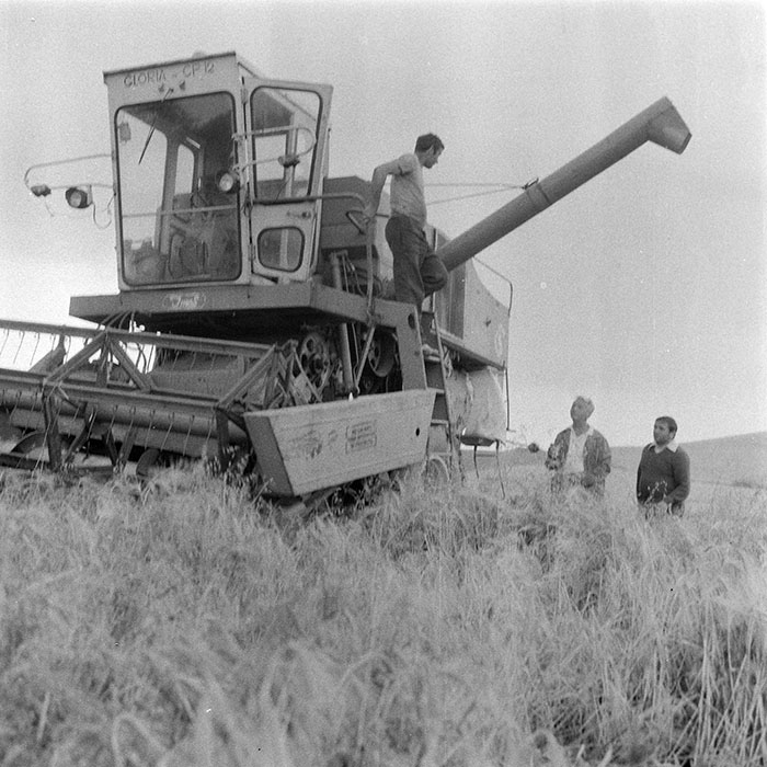 minerva_1984_c2_c2r2_020