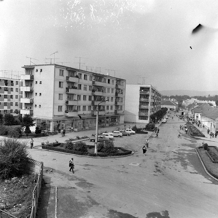 minerva_1984_c2_c2r4_008