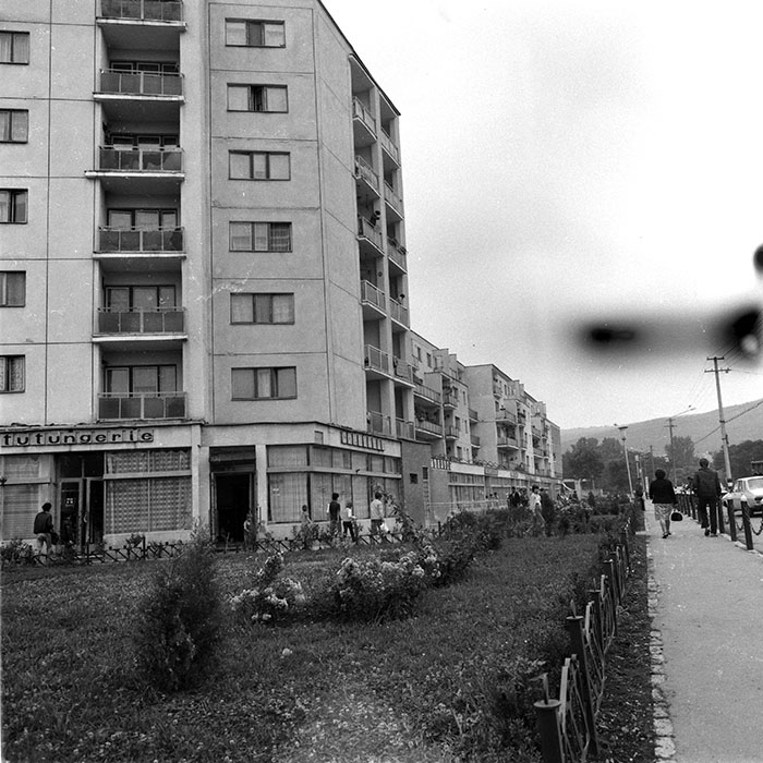 minerva_1984_c2_c2r4_036