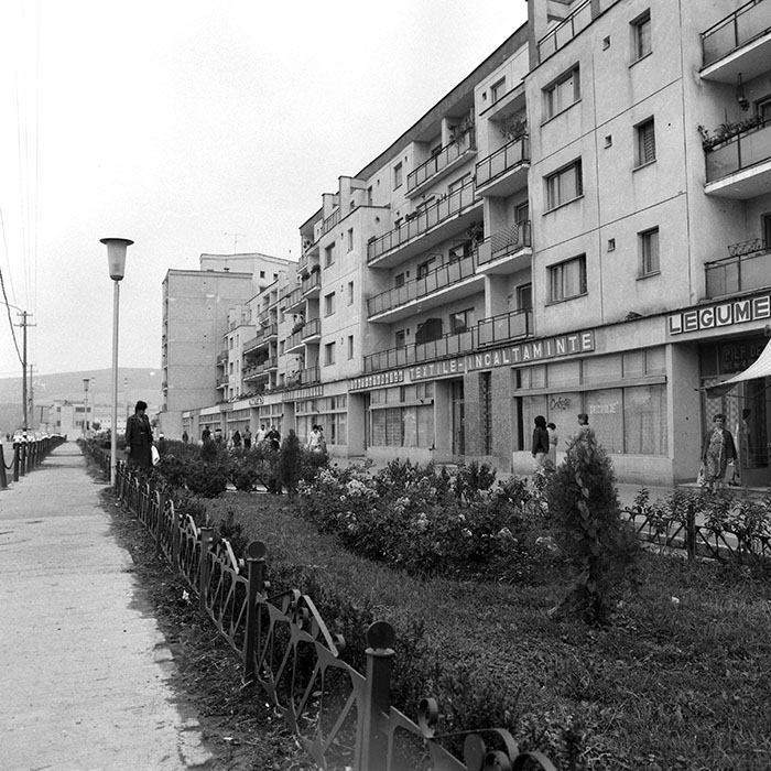 minerva_1984_c2_c2r4_037