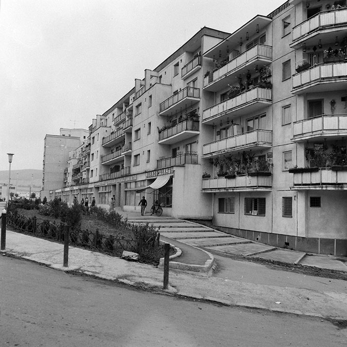 minerva_1984_c2_c2r4_040